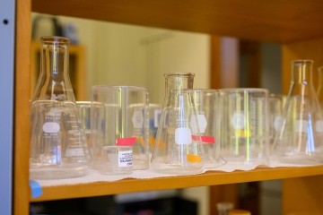 HHMI Lab, various glass beakers used in scientific experiments