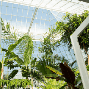 The view as you walk through the doors of Talcott Greenhouse