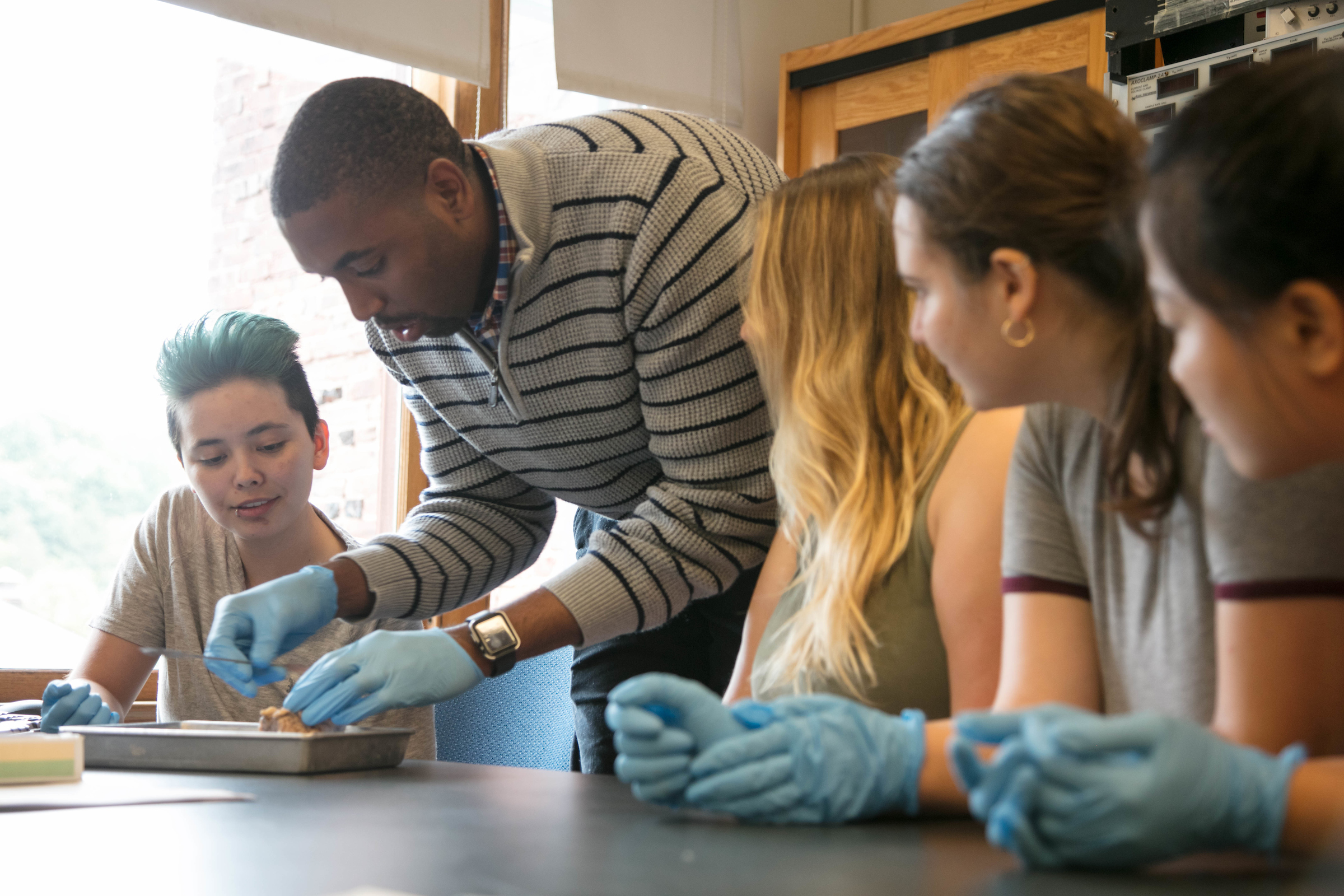 Bachelor of Arts in Biological Science Mount Holyoke College