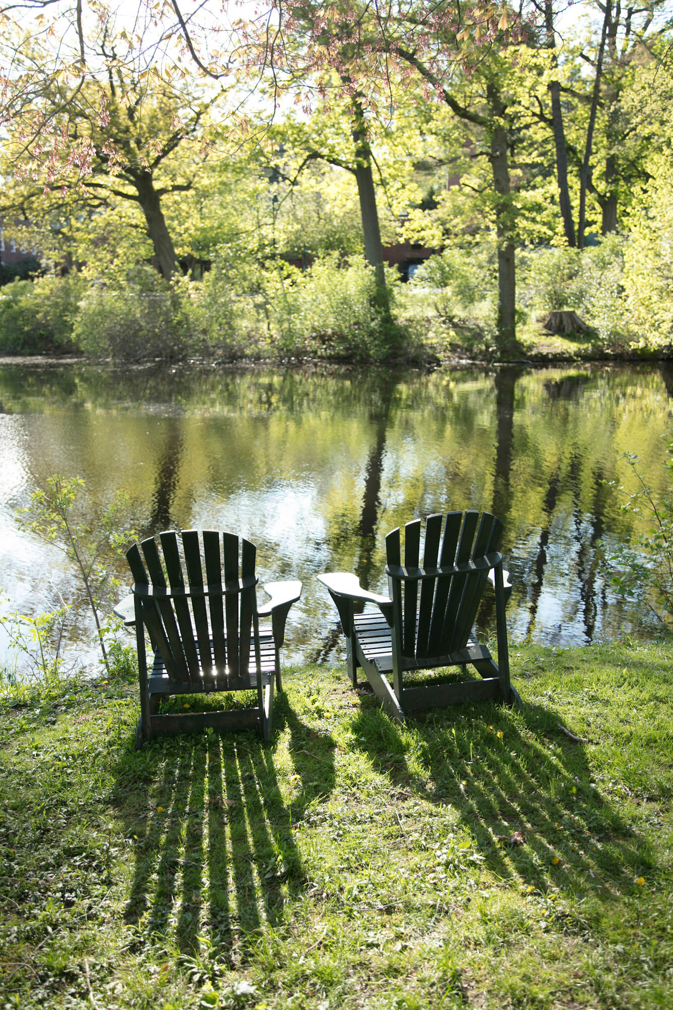 Adirondack chairs on the shore by Lower Lake