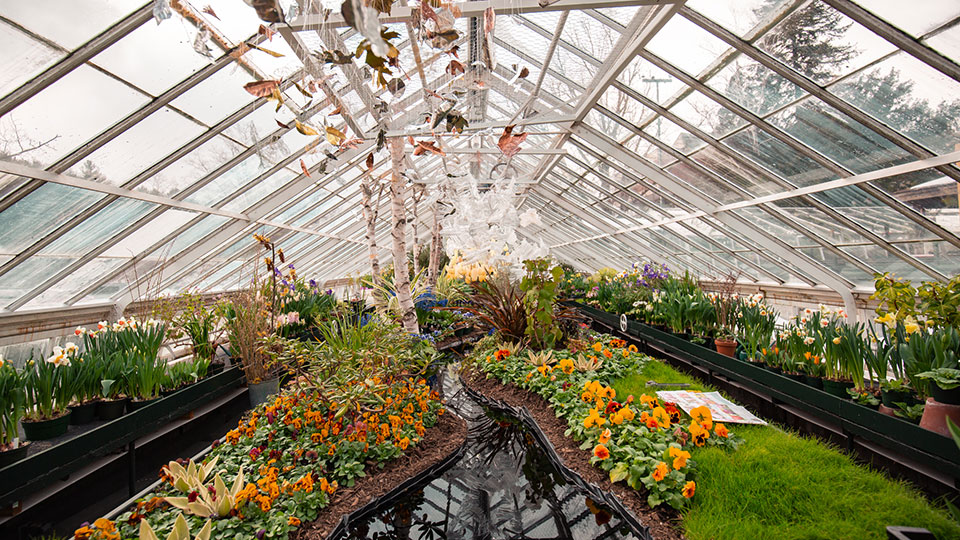 Flower Show to feature student sculpture Mount Holyoke College