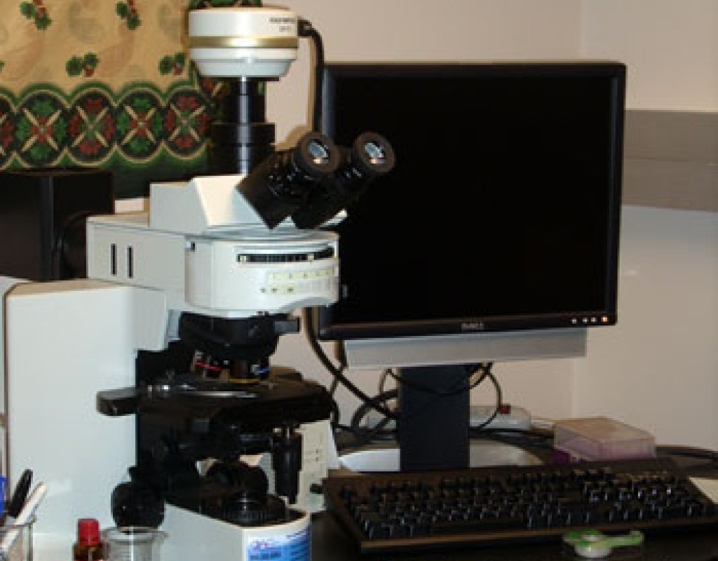 Science Center Microscopy Facility | Mount Holyoke College