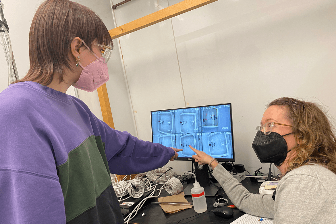 Jenny VanWyk works with a student on her research