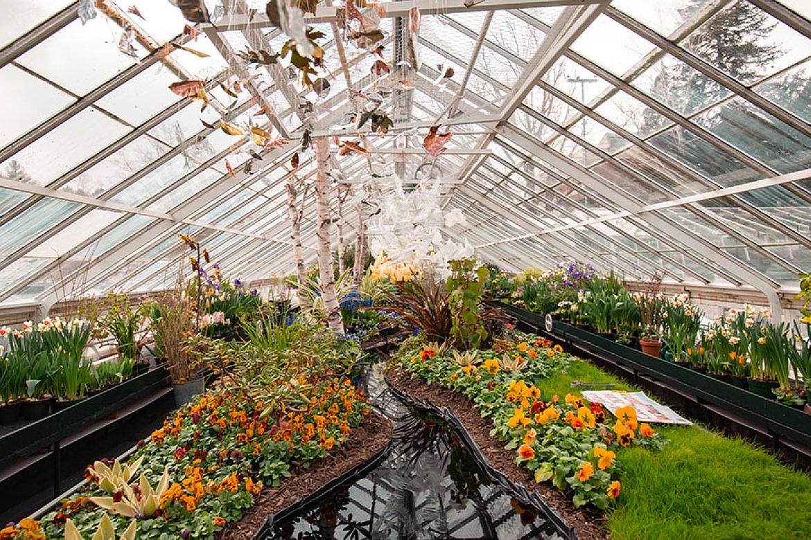 An assortment of spring flowers are showcased in the Talcott Greenhouse, set off by a sculpture made by current students Deborah Korboe ’21, Lauren Ferrara ’20, Emily Damon ’20, and former student Rebecca Li