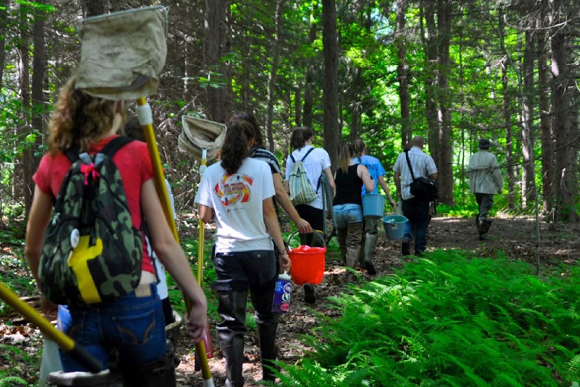 Students get to work restoring the site.