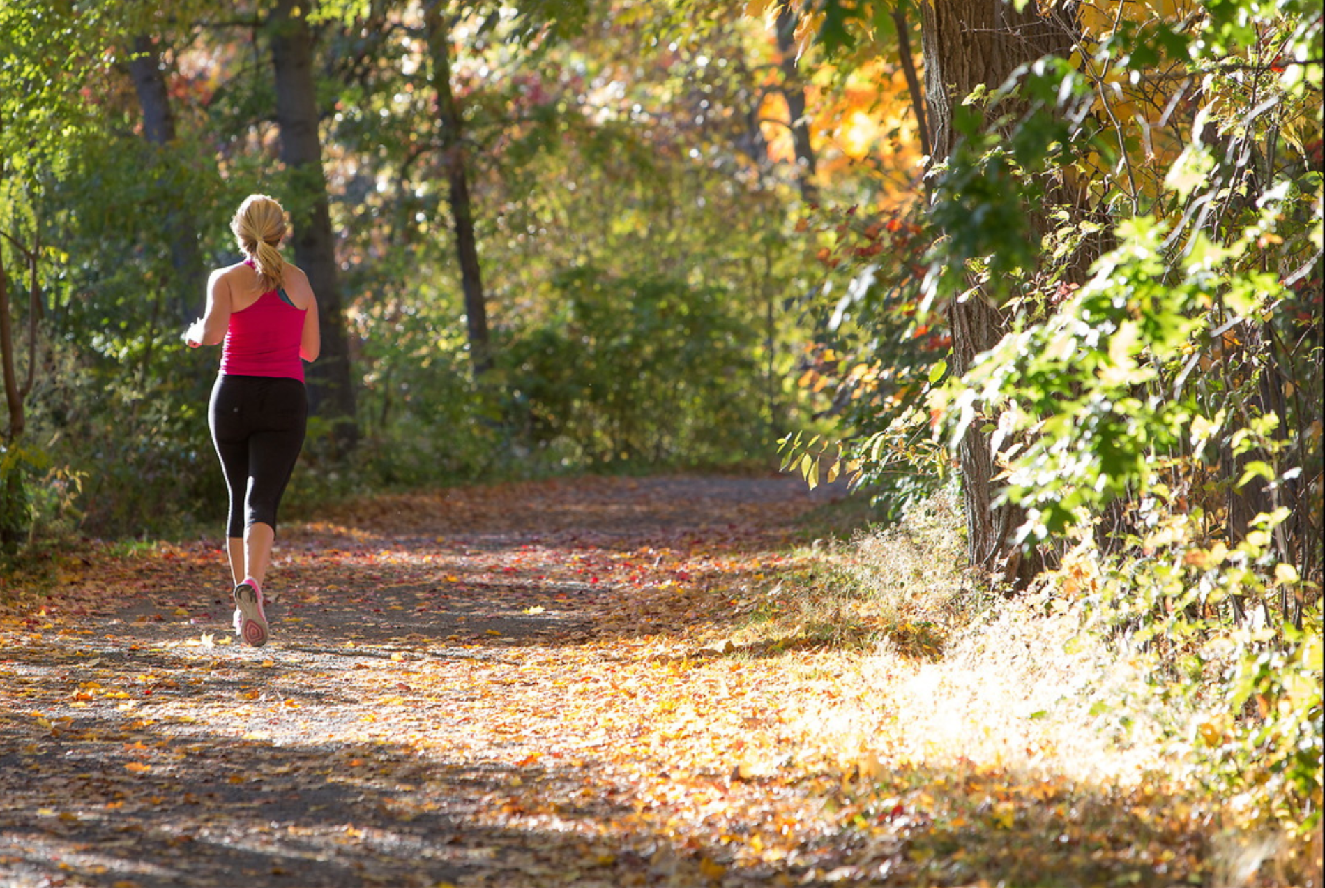 Athletics and Recreation | Mount Holyoke College