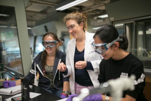 Students working in lab with faculty.