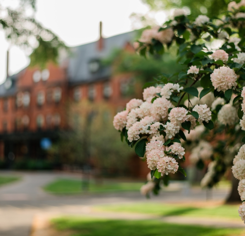 Staff | Mount Holyoke College