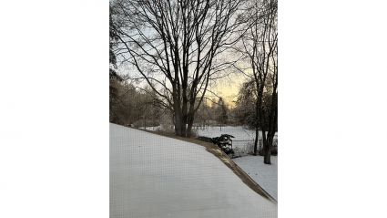 a snowy roof, backyard and trees captured from 2nd story window during sunrise